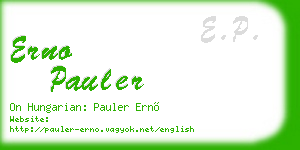 erno pauler business card